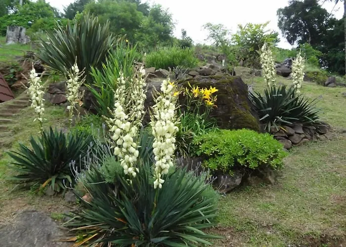 Chale Dos Platanos Hotel Gramado